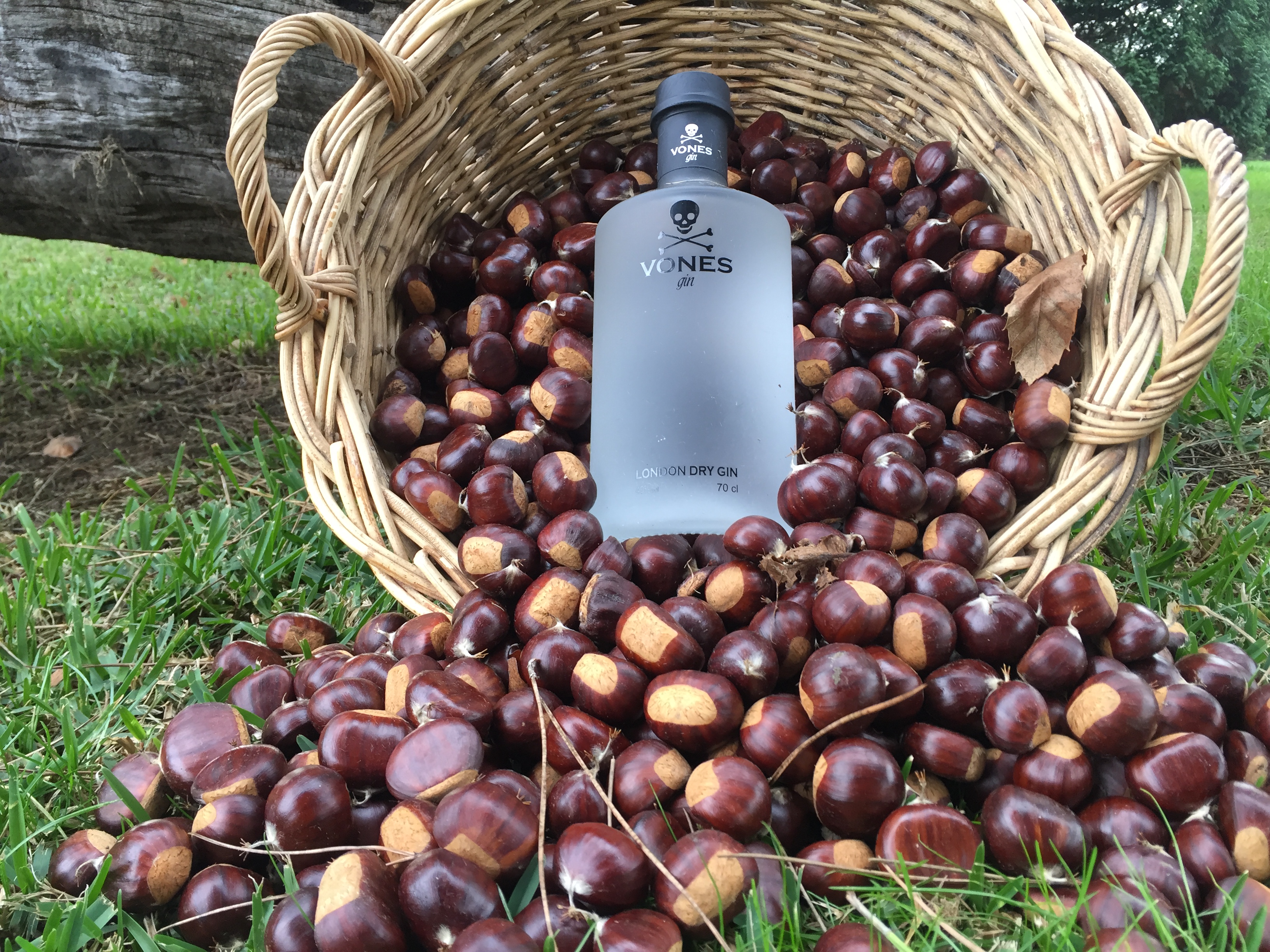 ginebra gallega 2016-07-28 522